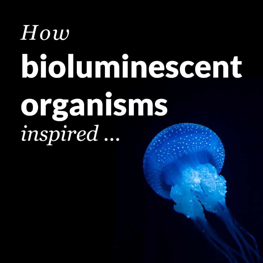 Bioluminescent Microorganisms: Biomimetic Light Tubes — Teresa van ...