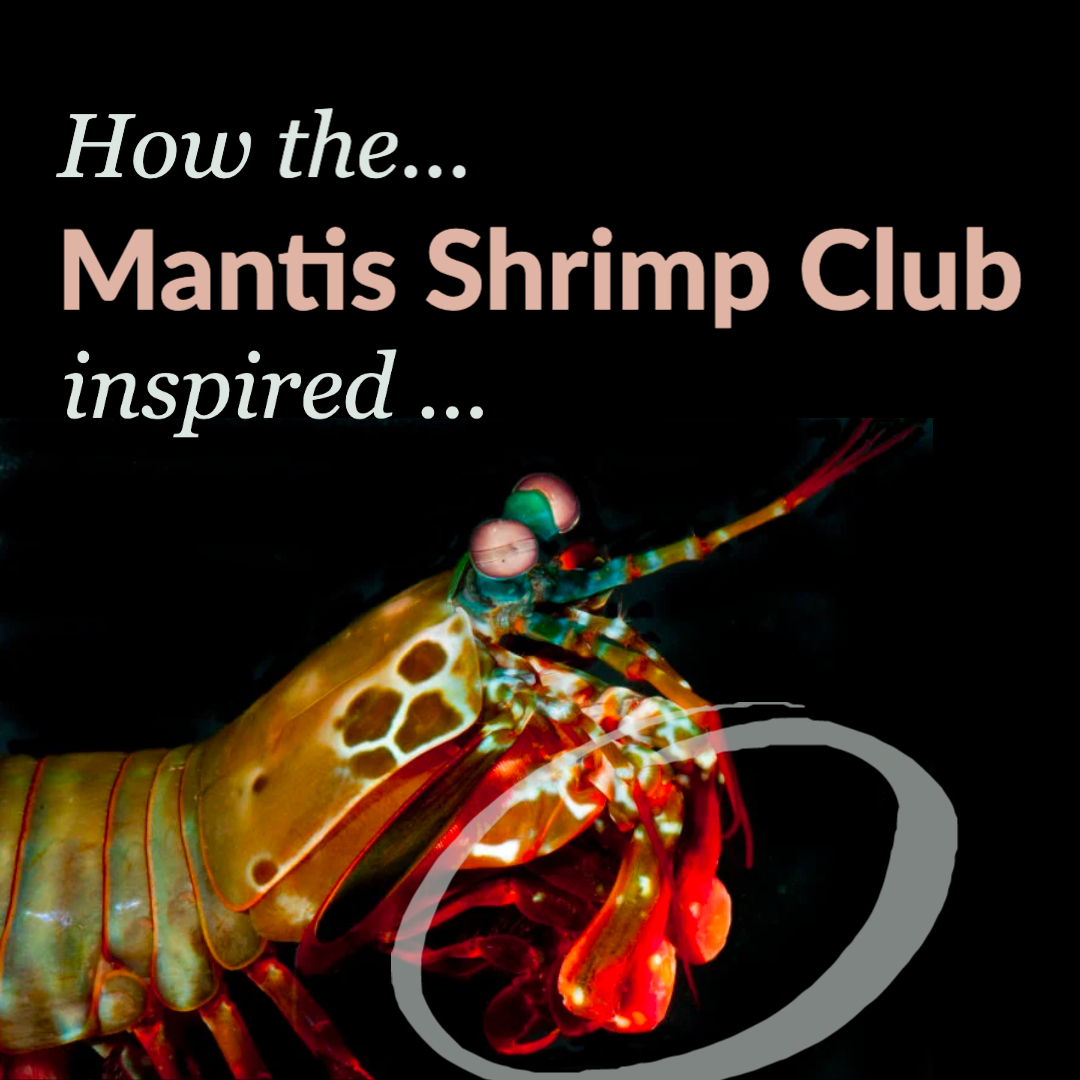 Mantis Shrimp Composites — Purdue University, UC Riverside | Biomimicry ...